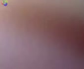 292x240