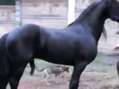 480x360