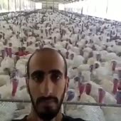 360x360