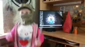 640x360