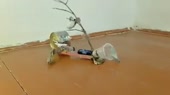 400x224