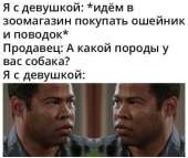 524x441