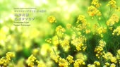 1280x720