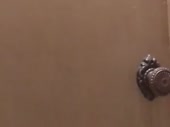 320x240