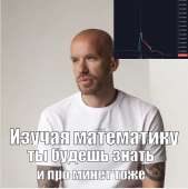 509x510