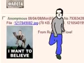320x240
