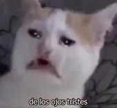 400x372