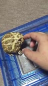 406x720