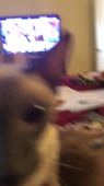 360x640