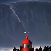 360x360