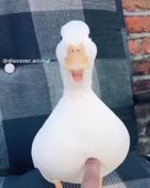 460x574