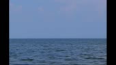 768x432