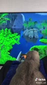 540x960