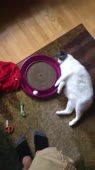 360x640