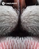 640x800
