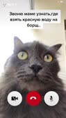 540x960