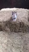 360x634