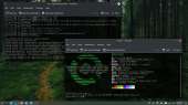1366x768