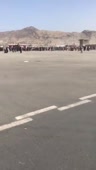 320x564