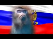 640x480