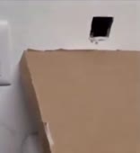410x444