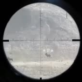 426x426