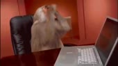 480x270
