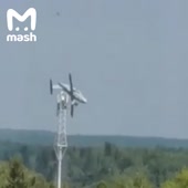 720x720