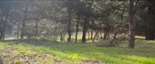 960x406