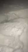 320x584