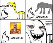 595x491