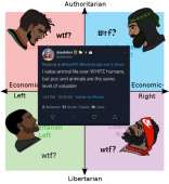 543x591
