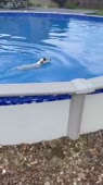 608x1080