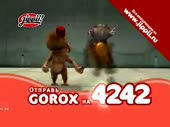 320x240