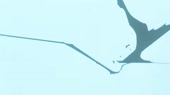 960x540