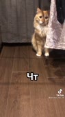 540x960