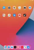 1668x2388