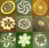 200x197