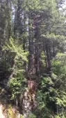 406x720