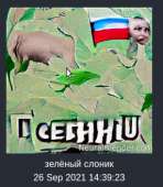 286x328