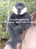 360x480