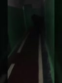 270x360