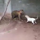 360x360