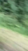 720x1274