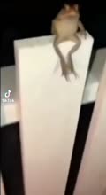 464x848