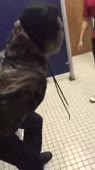 360x640