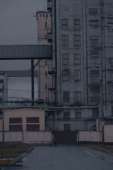 539x810