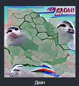 284x309