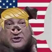 340x340