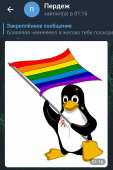 832x1250